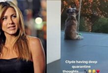 Jennifer anistons dog shampoo interview