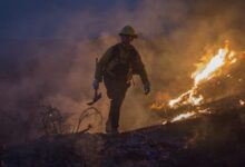 Haven for moms los angeles wildfires