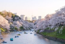 Best things to do in tokyo