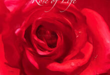 Life in looks rose