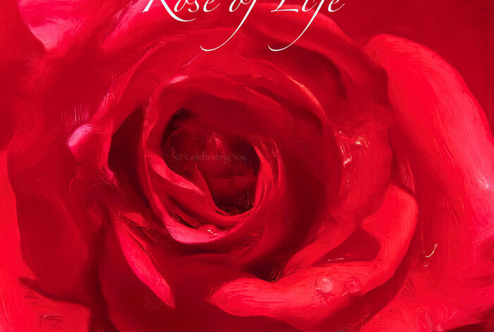 Life in looks rose