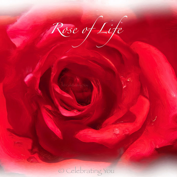 Life in looks rose
