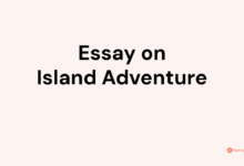 Island hopping with my father essay