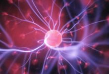 Serotonin vitamin d sun