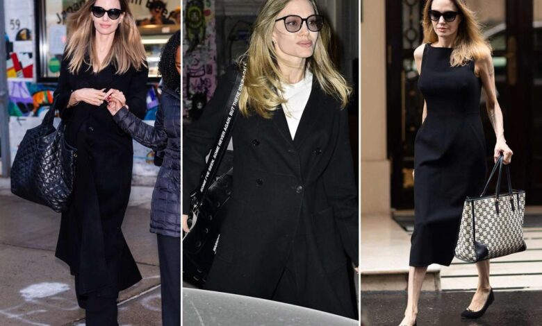 13 things you could fit in angelina jolies huge bag