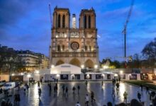 Notre dame paris reopens