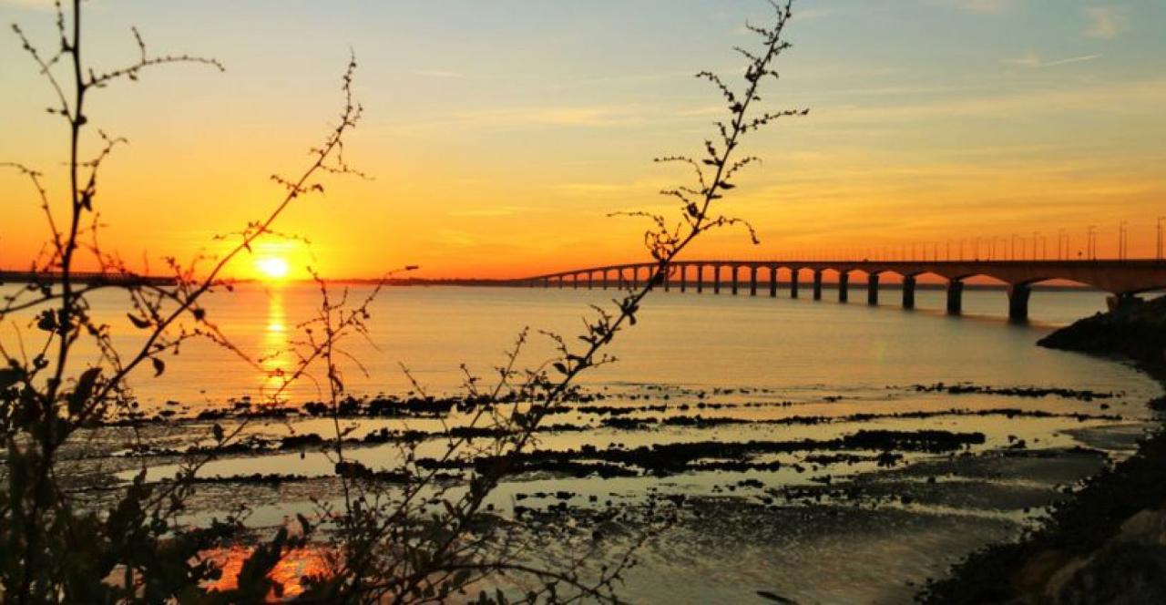 Ile de re france guide