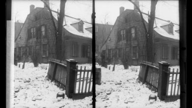 The brooklyn museum solid gold exhibition