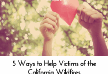 California wildfires how to help