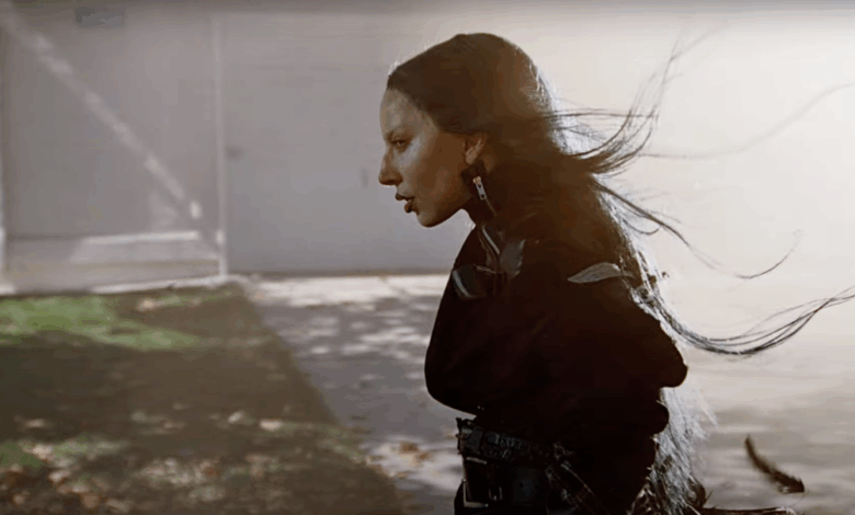 Lady gaga guitar version disease lg7