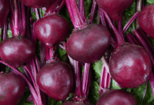 Foods high in potassium