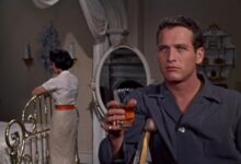 Daisy edgar jones cat on a hot tin roof diary