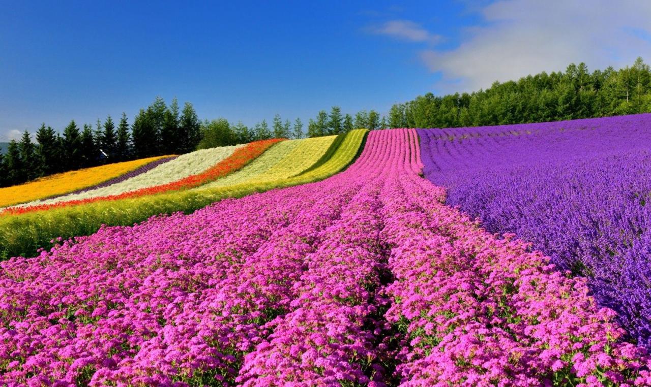 Hokkaido japan travel guide things to do and see