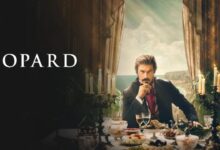 Everything you need to know the leopard netflix