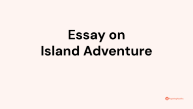 Island hopping with my father essay
