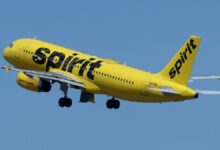 Goodbye to spirit airlines ode