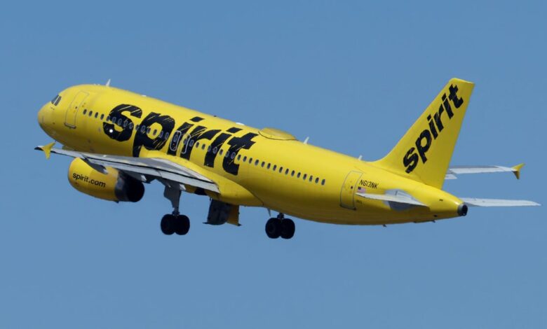 Goodbye to spirit airlines ode