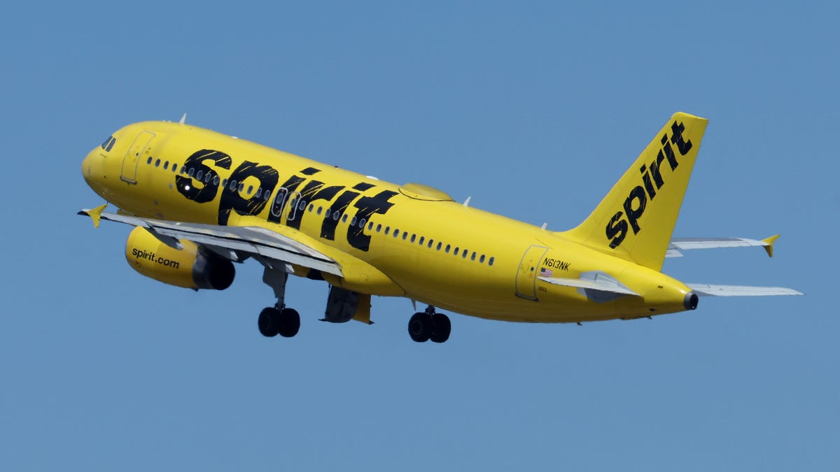 Goodbye to spirit airlines ode