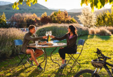 Best wine tasting new zealand