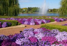 Best botanical gardens in the us