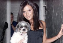 Victoria beckham the olsen tuck