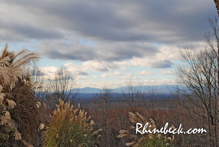 Florist ariel dearies guide to rhinebeck new york