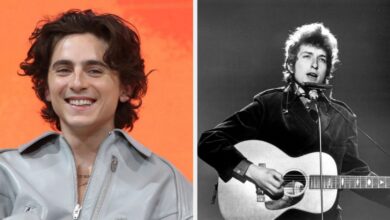 Timothee chalamet bob dylan biopic details