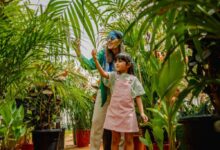 Rise of regenerative safaris