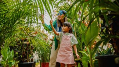 Rise of regenerative safaris