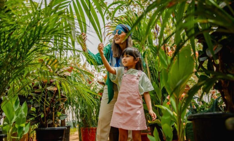 Rise of regenerative safaris