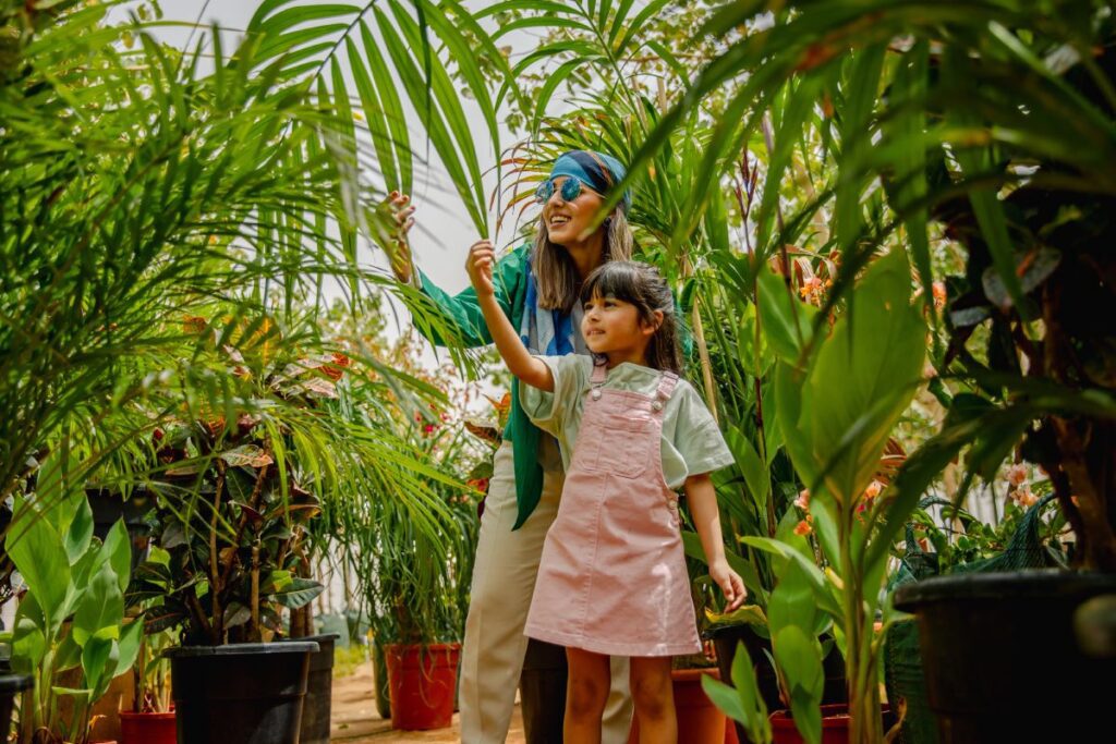 Rise of regenerative safaris