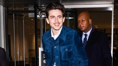 Timothee chalamet chloe it boy