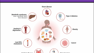 Ultra processed food mind body changed