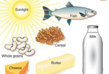 How to get vitamin d