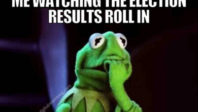 The very best election day memes and tweets