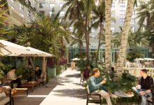 Palm house hotel opening palm beach