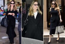 13 things you could fit in angelina jolies huge bag