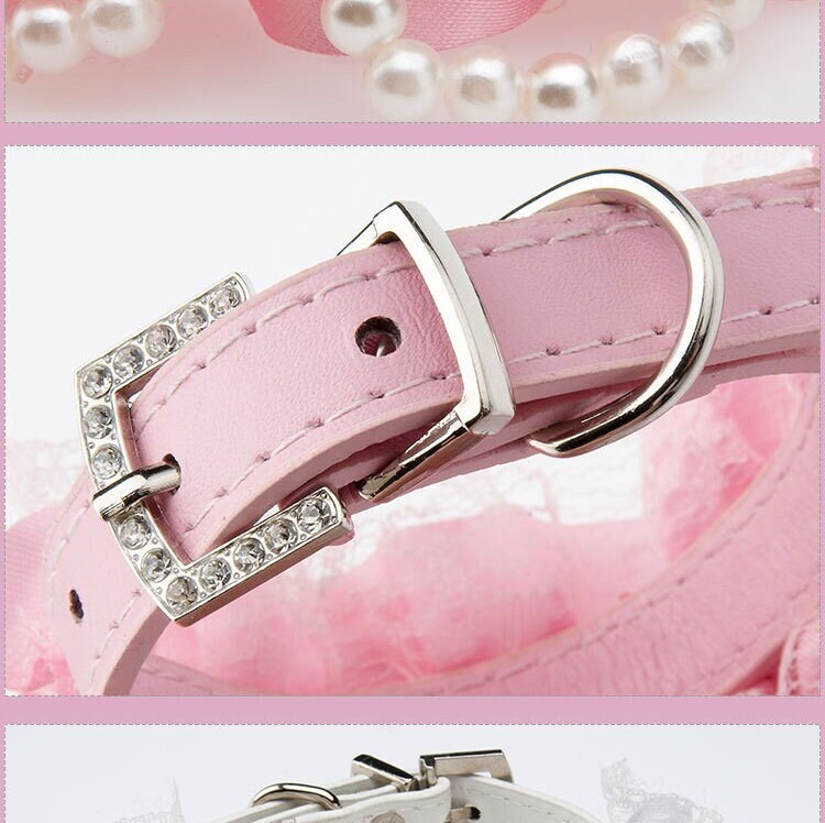 Lacey dalimonte designer chappell roan madonna