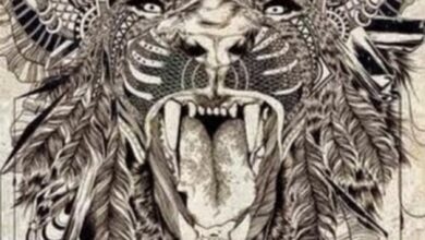 Get to know elsa boutaric